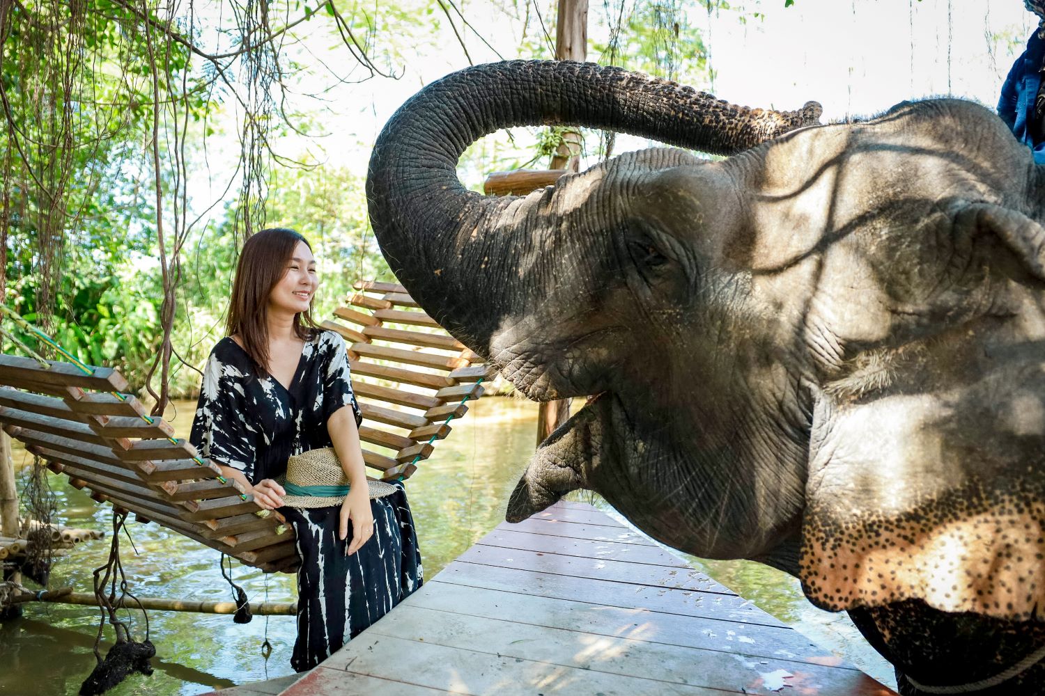 phangan elephant sanctuary